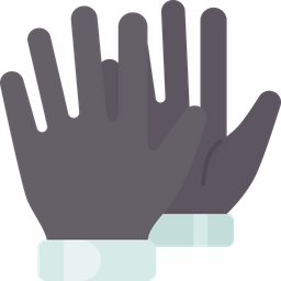 Gloves  Icon