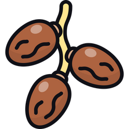 Date fruits  Icon