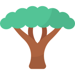 Acacia tree  Icon