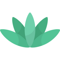 Agave  Icon