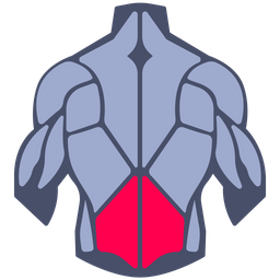 Lower back muscle  Icon