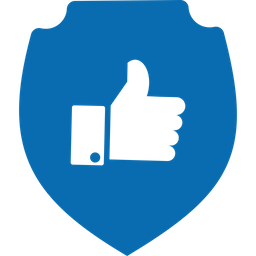 Approved security  Icon