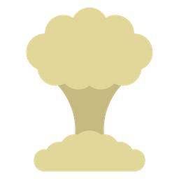 Explosion  Icon