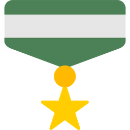 Army Medal  Icon