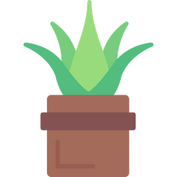 Aloe Vera  Icon