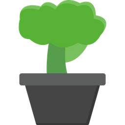 Bonsai  Icon