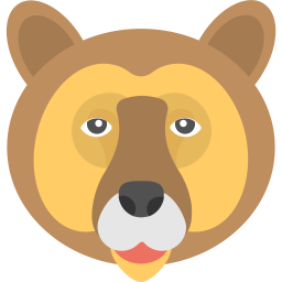 Bear  Icon