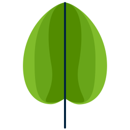 Round leaf  Icon