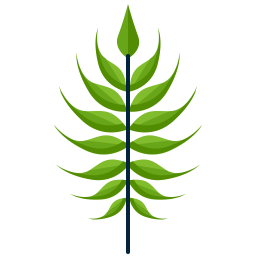 Leaf  Icon