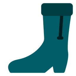 Boot  Icon