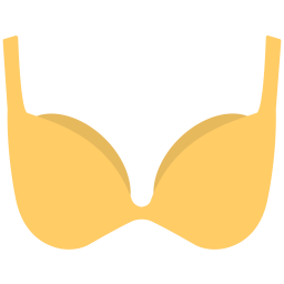 Bra  Icon