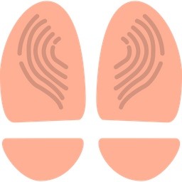 Anatomy  Icon