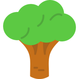 Broccoli  Icon