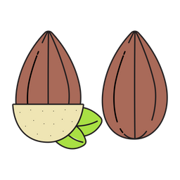 Almond  Icon