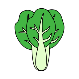 Bok choy  Icon