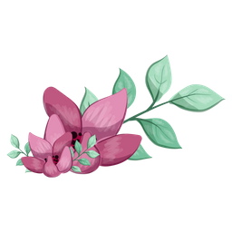 Half Bloom  Icon