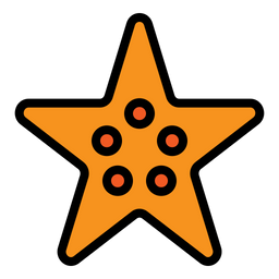 Star Fish  Icon