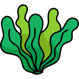 Ocean Algae  Icon