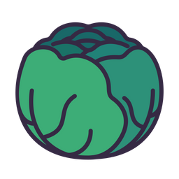 Cabbage  Icon