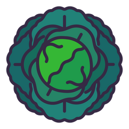 Cabbage  Icon