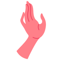 Hands gesture  Icon