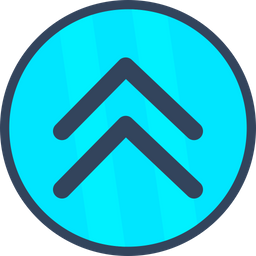 Chevron  Icon