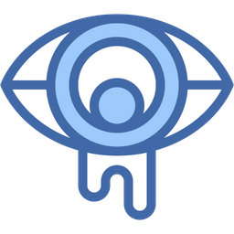 Eyes  Icon