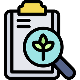 Document  Icon