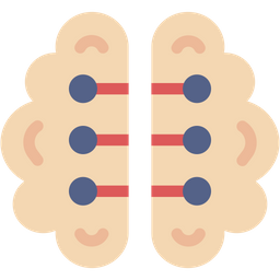 Brain  Icon