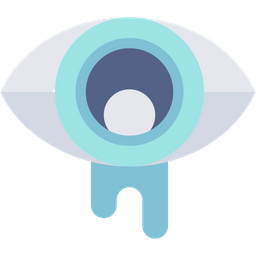 Eyes  Icon