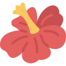 Hibiscus  Icon