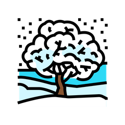 Snow  Icon