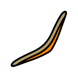 Boomerang  Icon