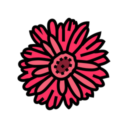 Gerbera  Icon