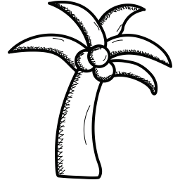 Coconut tree  Icon