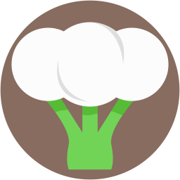 Cauliflower  Icon