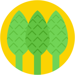 Artichoke  Icon