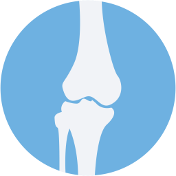 Bone Joints  Icon