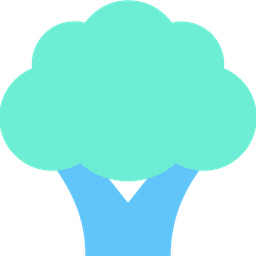 Broccoli  Icon