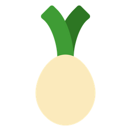 Celery Root  Icon