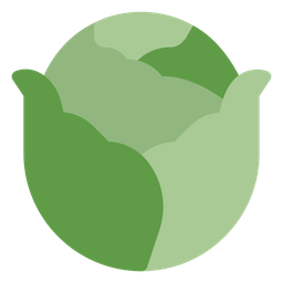 Cabbage  Icon