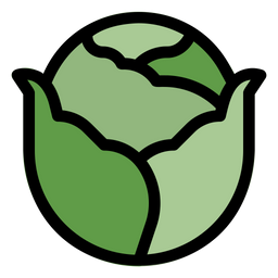 Cabbage  Icon