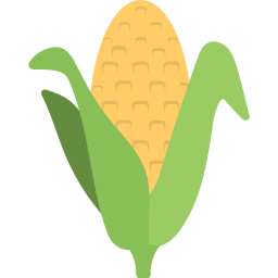 Corn Cob  Icon