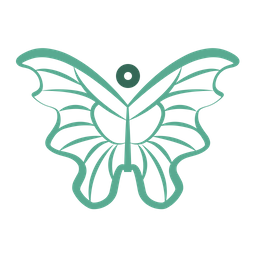 Butterfly  Icon