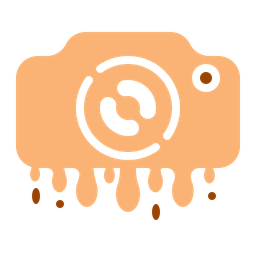 Camera  Icon