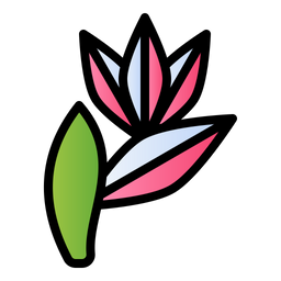 Bird of paradise  Icon