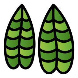 Fittonia  Icon