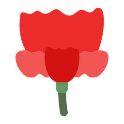 Carnation  Icon