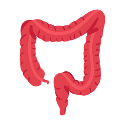 Large Intestine  Icon