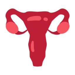 Uterus  Icon